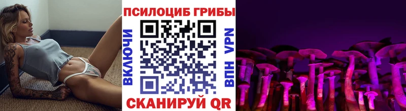 Псилоцибиновые грибы Cubensis  закладка  Верея 